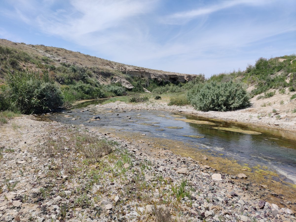 Myco_Microbio's tweet photo. 🚨@FunAqua_EE collection has been replenished with samples from the salty rivers and lakes of West Kazakhstan deserts and the largest and sixth oldest inland body of water on Earth - the Caspian Lake 🏞️🦠✨ Stay tuned for amazing discoveries! #Aquatic #Fungi #Biodiversity https://t.co/JCAZYjV5eF