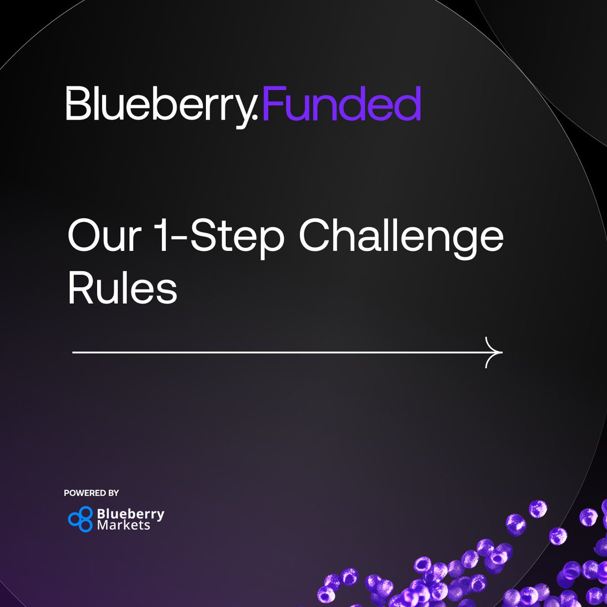 BLUEBERRY PARTNERSHIP LTD