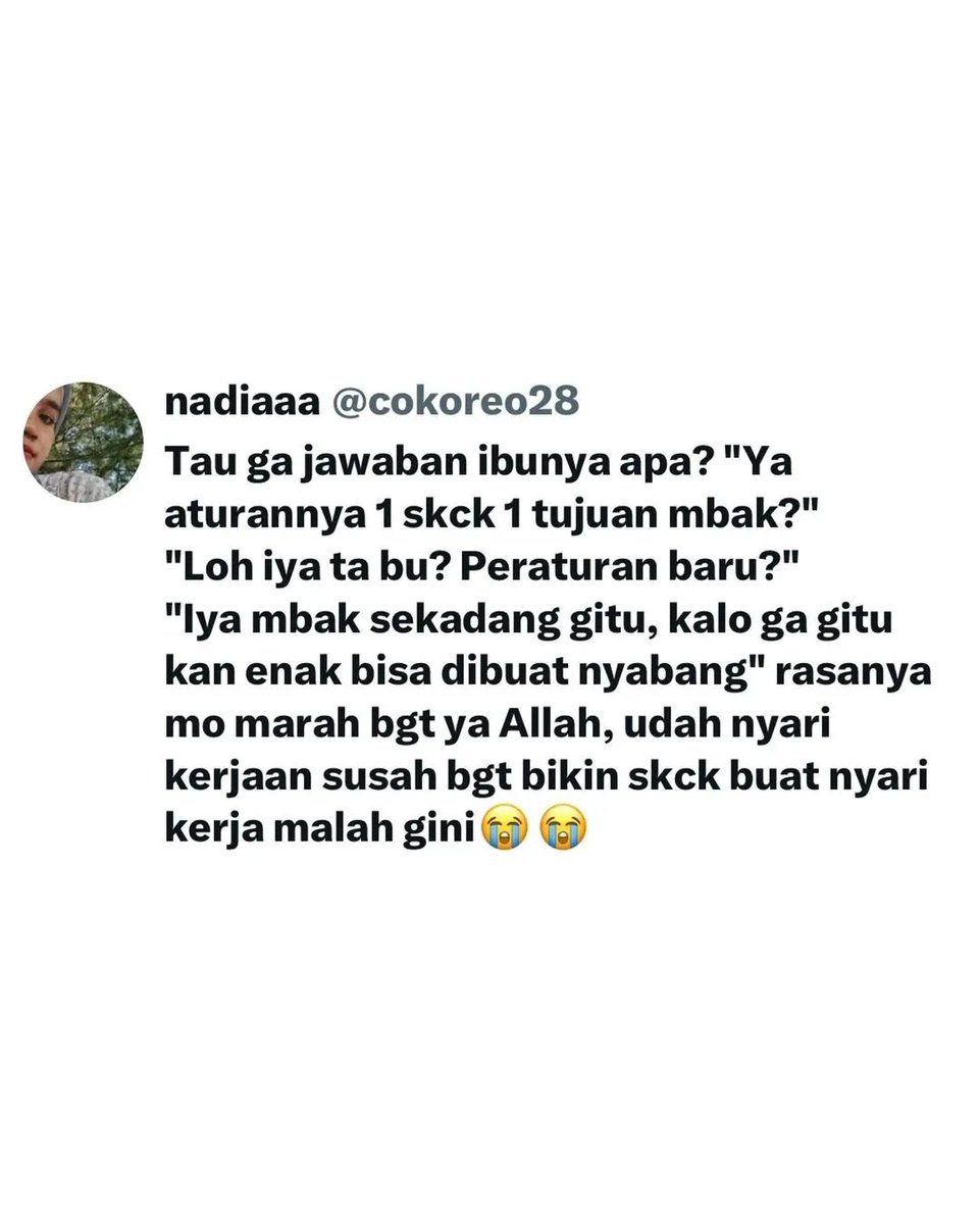 Miss Tweet | tweet media