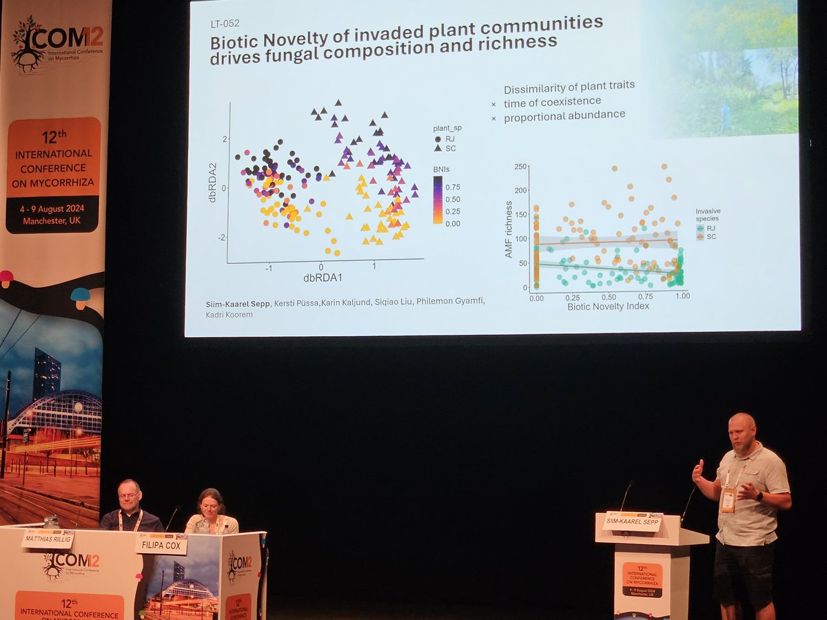 Kadri Koorem tweet media