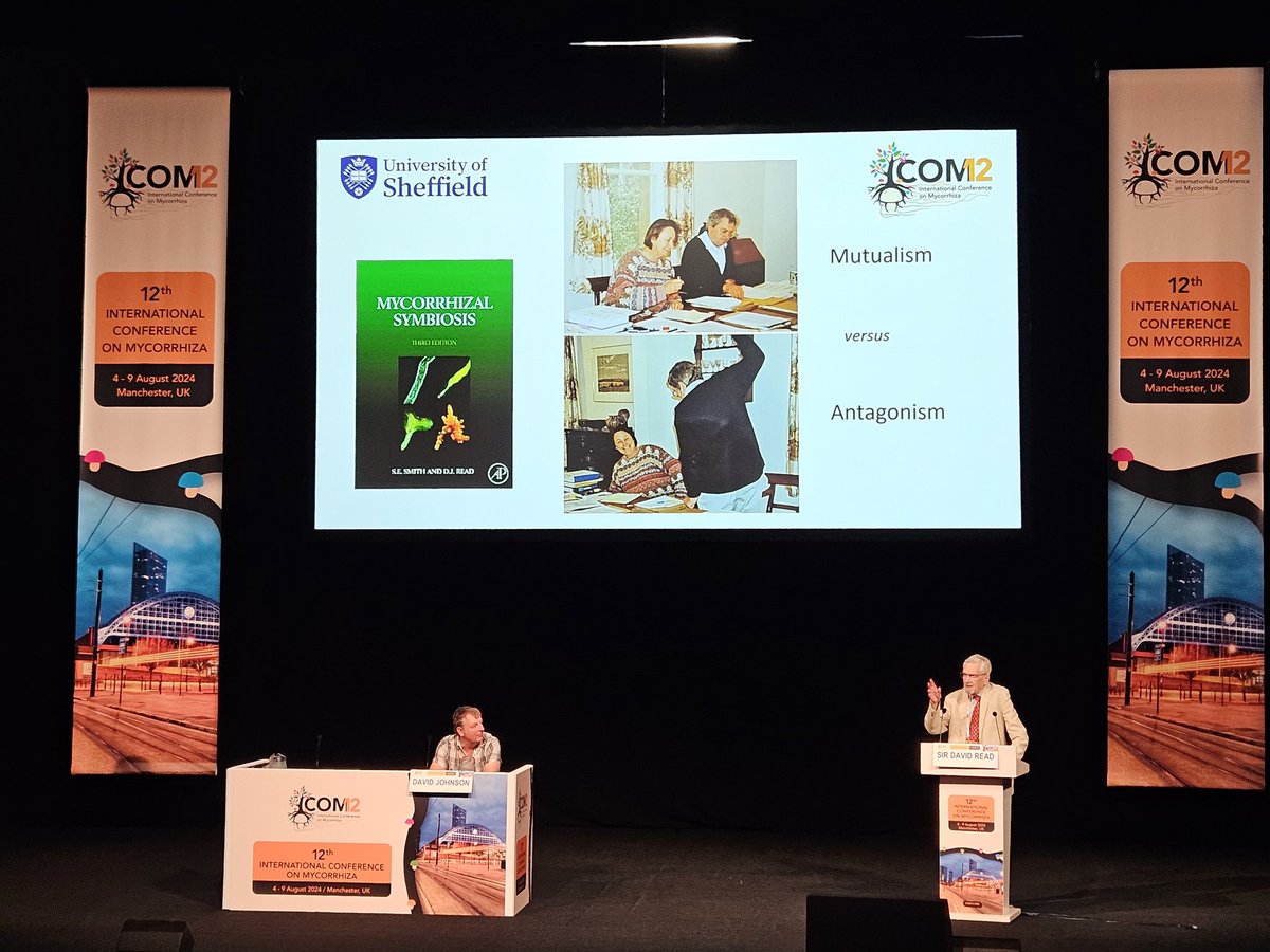 Kadri Koorem tweet media