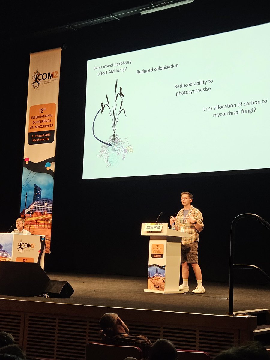 Kadri Koorem tweet media