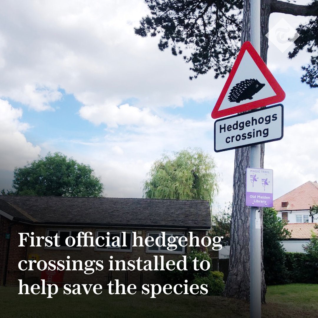 Telegraph's tweet photo. 🦔 England’s first official “hedgehog crossing” road signs have been unveiled amid a battle to save the species.

Read more here 👇
https://t.co/rh6w8EJgo3 https://t.co/1bN8muGM1I
