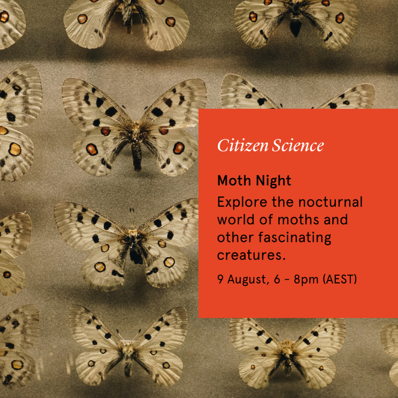 Sydney_Science's tweet photo. #NationalScienceWeek is just around the corner 🔭

Join @sydney_uni for a week of discovery with our amazing scientists! ‍‍

Explore a range of events from August 10th to 18th. There's something for everyone!