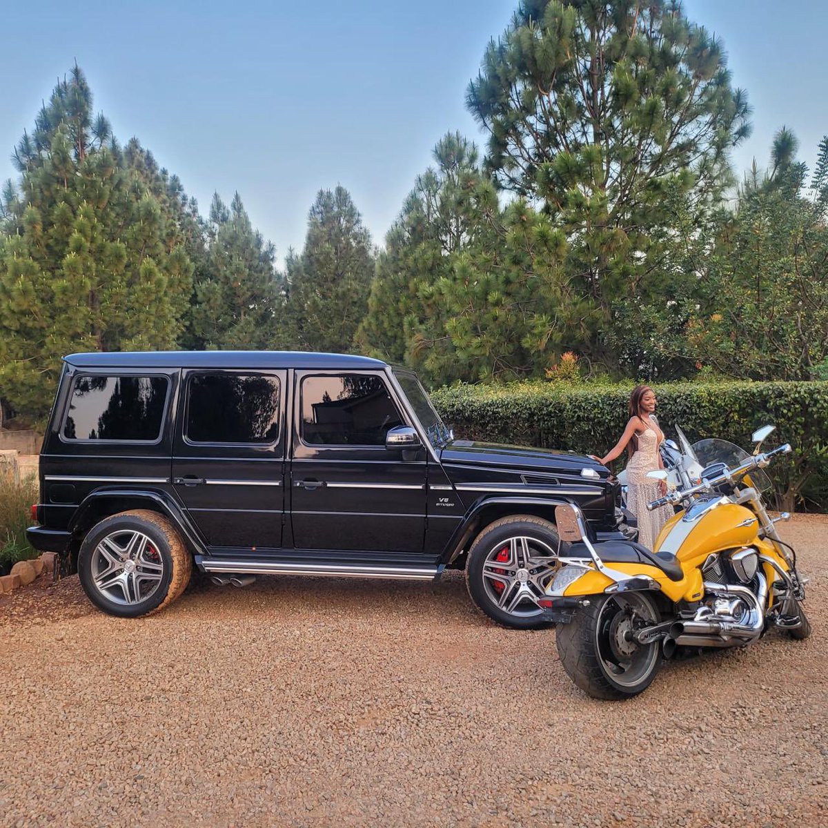 Transporter tweet media