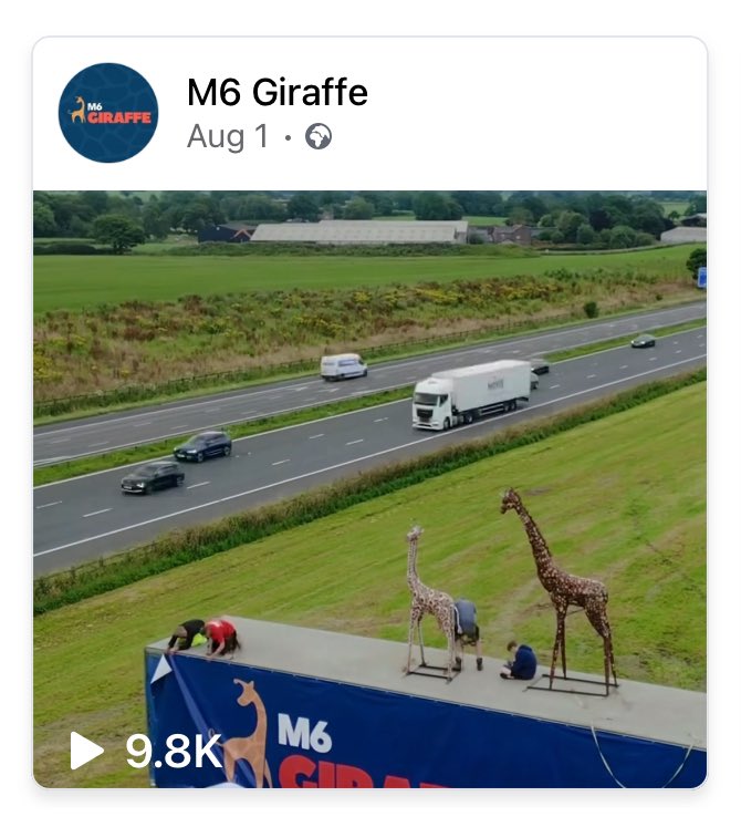 M6 Giraffe 🦒 tweet media