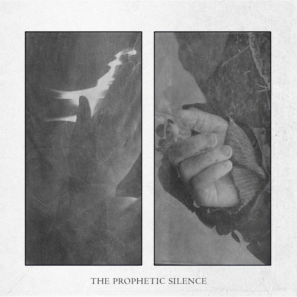 Antifascist Black Metal Network (@abmnetwork) on Twitter photo A new Gråt Strigoi album is out today: 'The Prophetic Silence!
And we are hosting it at ABMN -> youtu.be/5yt4m3vcz6A
In review collaboration with <a href="/SCadavera/">Semirutarum Urbium Cadavera</a> -> shorturl.at/MB6zB A new Gråt Strigoi album is out today: 'The Prophetic Silence!
And we are hosting it at ABMN -> youtu.be/5yt4m3vcz6A
In review collaboration with <a href="/SCadavera/">Semirutarum Urbium Cadavera</a> -> shorturl.at/MB6zB