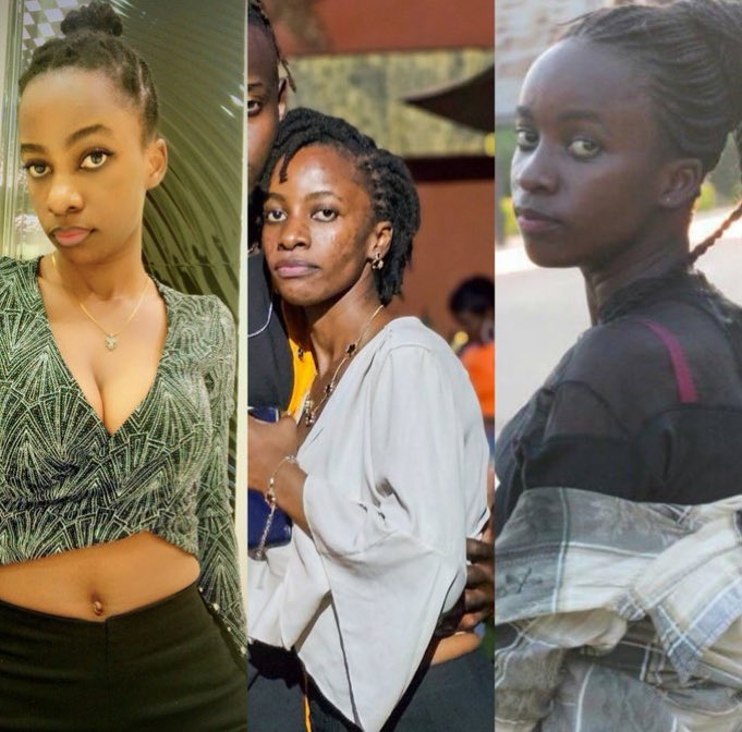 Ze Planmaster tweet media