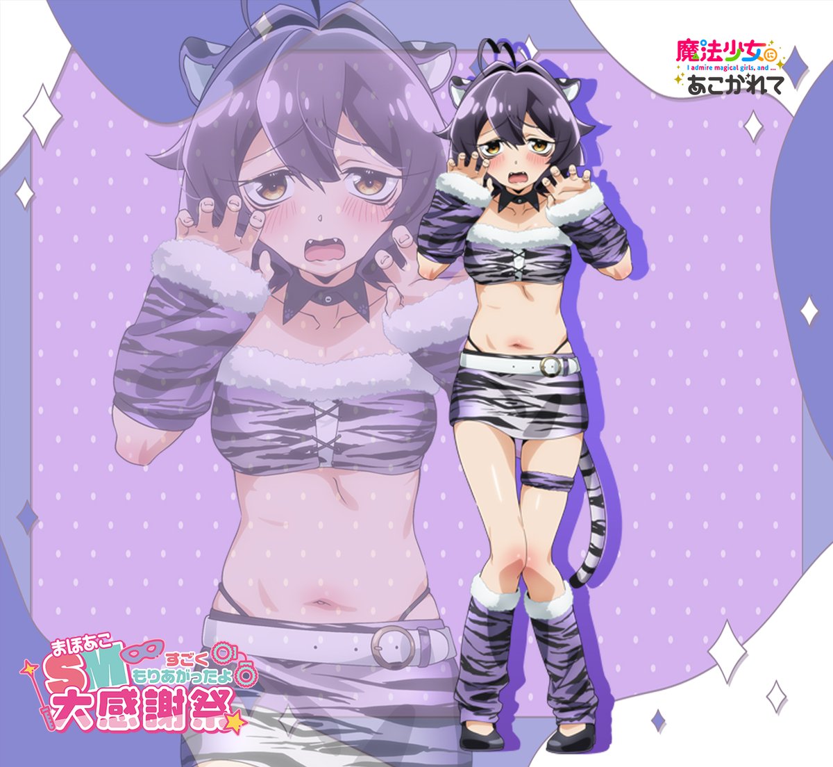 圖 夢想成為魔法少女SM大感謝祭 視覺圖