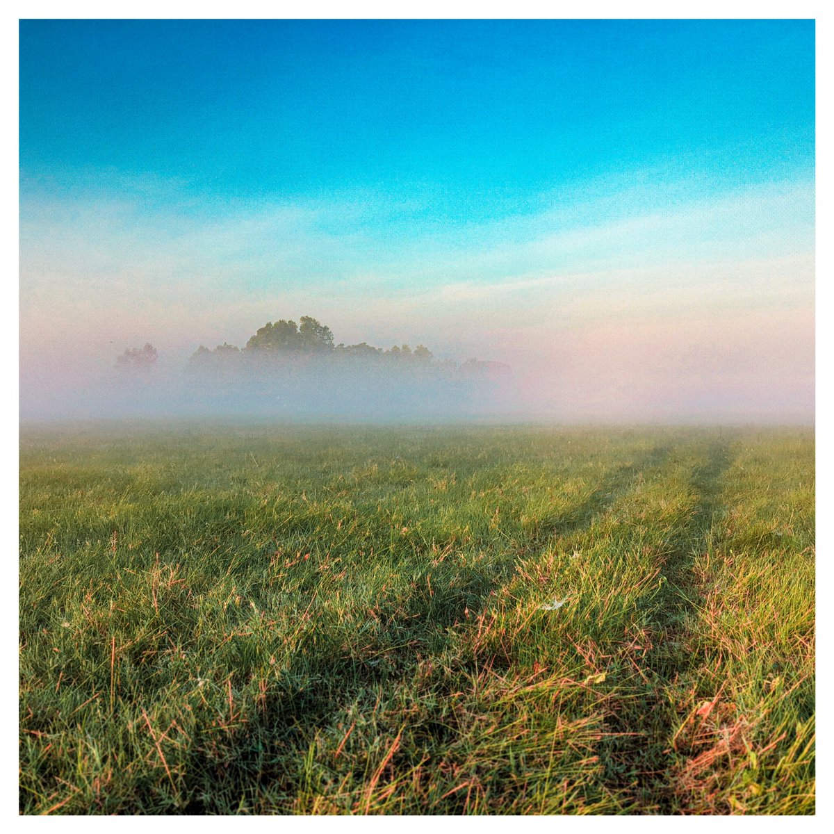 md_adilahnaf's tweet photo. "Sweet Morning Way"
Shot on xiaomi poco m2 and 28 mm(wide) f2.2
#bangladesh #documentaryphotographBangladesh #AgriculturalLabor #foggymorning #landscapephotography #sunriselight #Sweetmorningpath #inthetree #FoggyField #NaturePhotography #EarlyMorningVibes https://t.co/JfynODKEDa