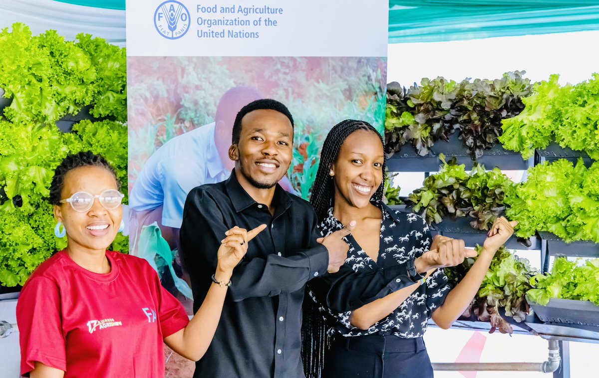 jcniyomugabo's tweet photo. Get ready to revolutionize your farming game with vertical/urban #farming! 

Time to say goodbye to traditional methods and hello to sustainable and efficient agriculture.

 Are you ready to start vertical or urban farming? Visit @FAORwanda at #RwandaAgriShow2024 to learn more. https://t.co/y4D4nzlOAr