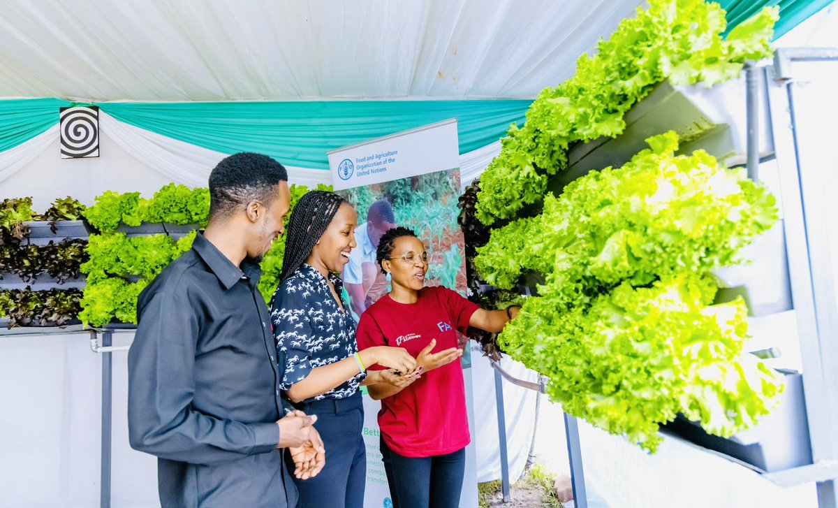 Get ready to revolutionize your farming game with vertical/urban #farming! 

Time to say goodbye to traditional methods and hello to sustainable and efficient agriculture.

 Are you ready to start vertical or urban farming? Visit <a href="/FAORwanda/">FAO in Rwanda</a> at #RwandaAgriShow2024 to learn more.
