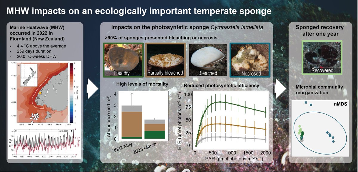 Valerio Micaroni tweet media