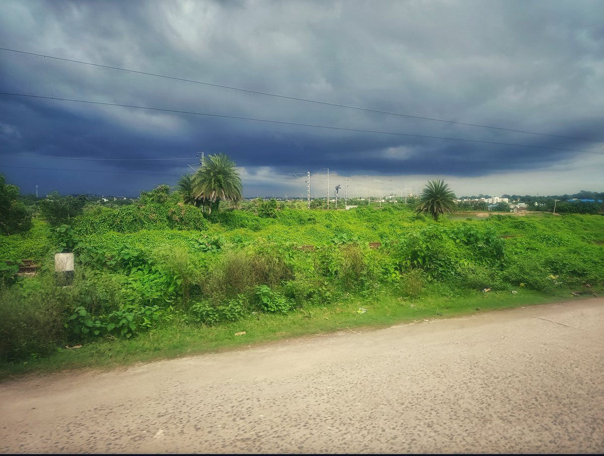 itsAMsimply's tweet photo. Some beautiful shots 📸 that I had taken today.

#photography #NatureBeauty https://t.co/X9vlrUOPrH