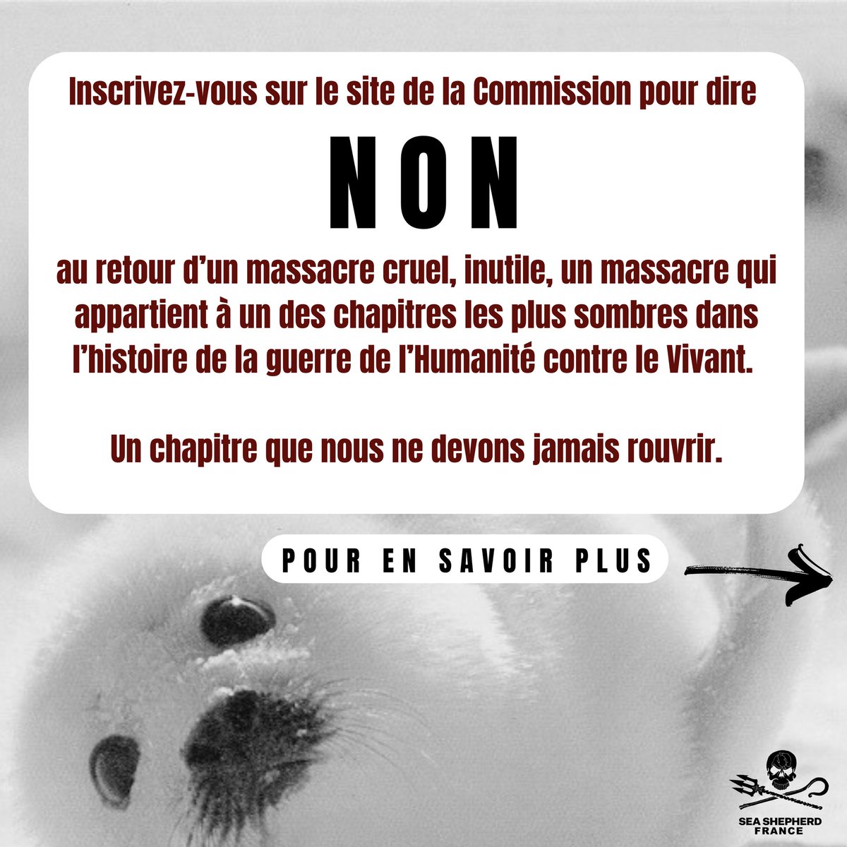 Sea Shepherd France tweet media