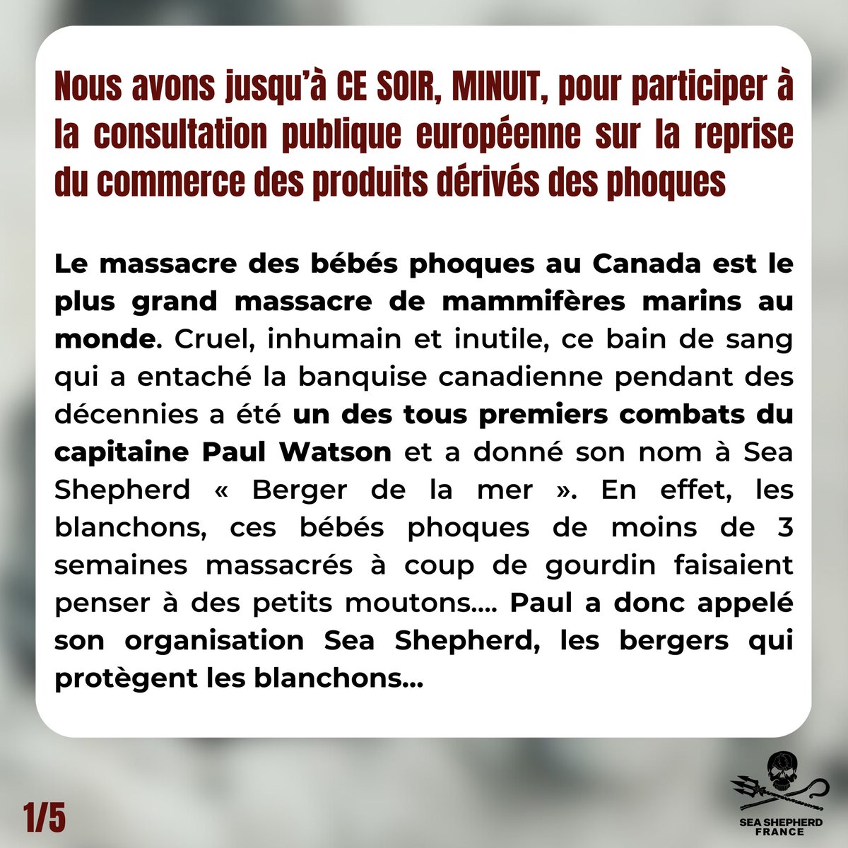 Sea Shepherd France tweet media