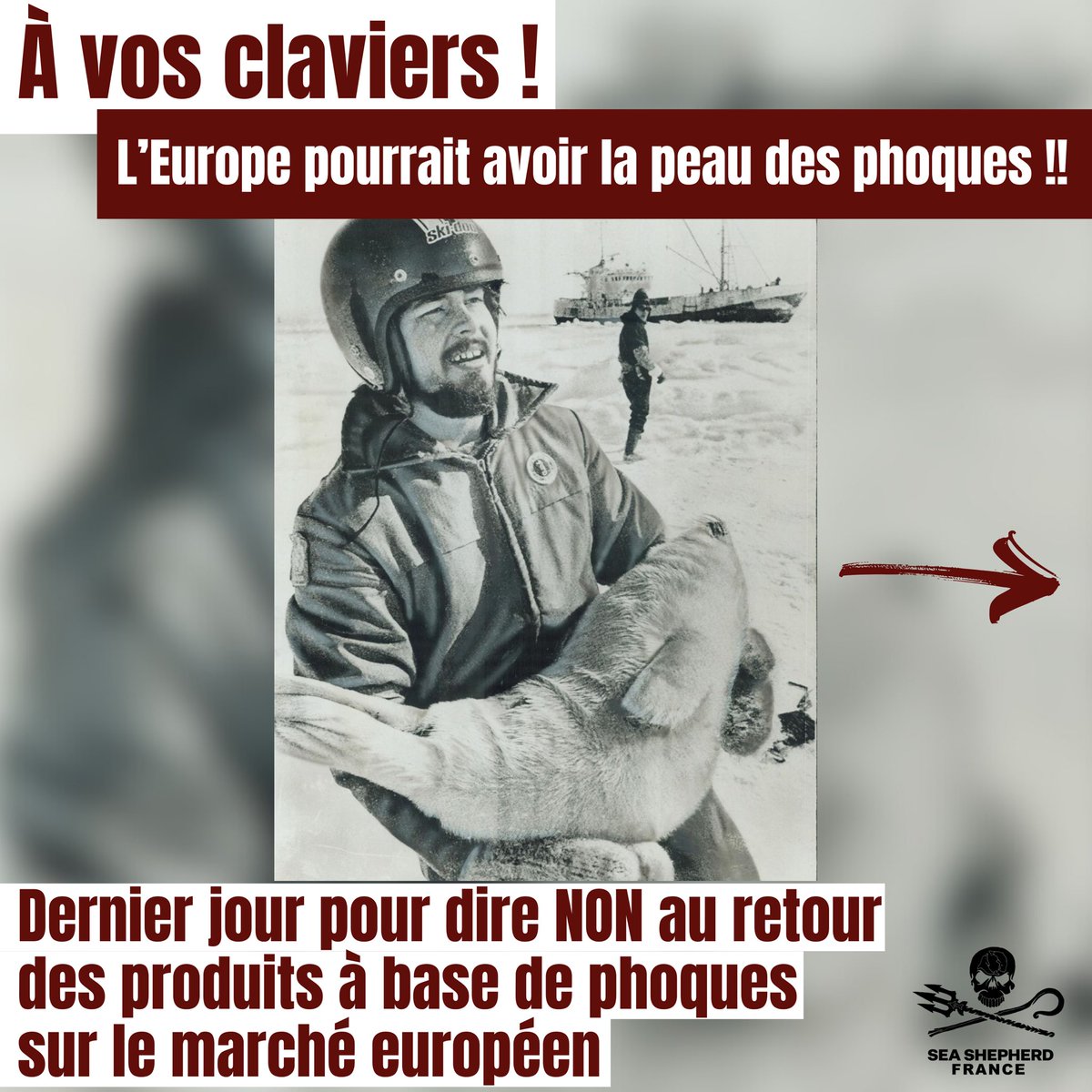 Sea Shepherd France tweet media
