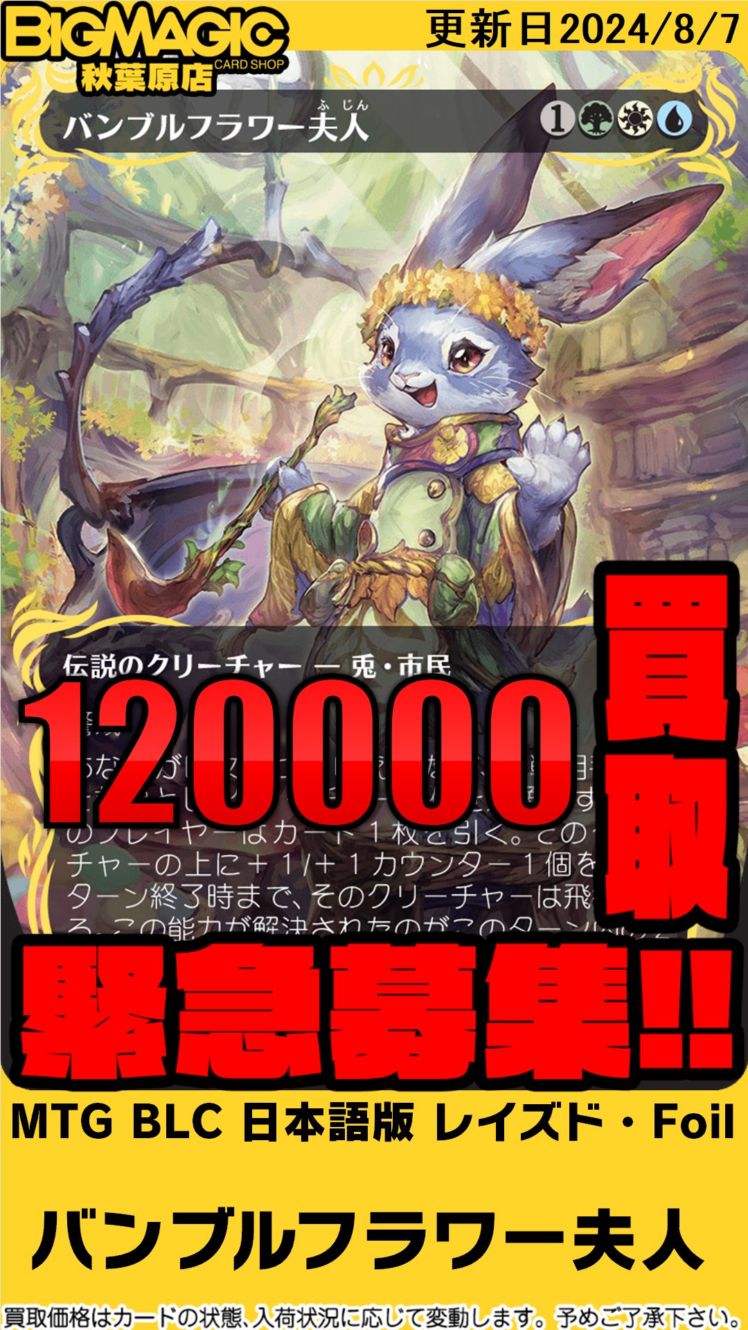 BIGMAGIC 秋葉原店 on X: BIGMAGIC 秋葉原店 on X: