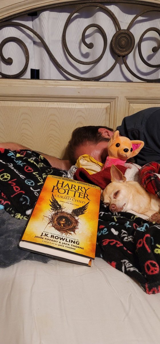princesstegantx's tweet photo. Dad and I fell asleep reading the new Harry Potter book.... casting sleep spells. #ZSHQ #chihuahua #dogsoftwitter #DogsofTwittter #dogs #sleepydaddy https://t.co/5L7yIxOzXG