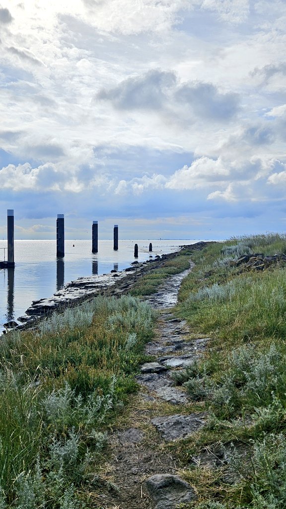 Jacoba_Bakker's tweet photo. Goedemorgen!๐
#Ballumerbocht
#Ameland https://t.co/kJfLfCt672