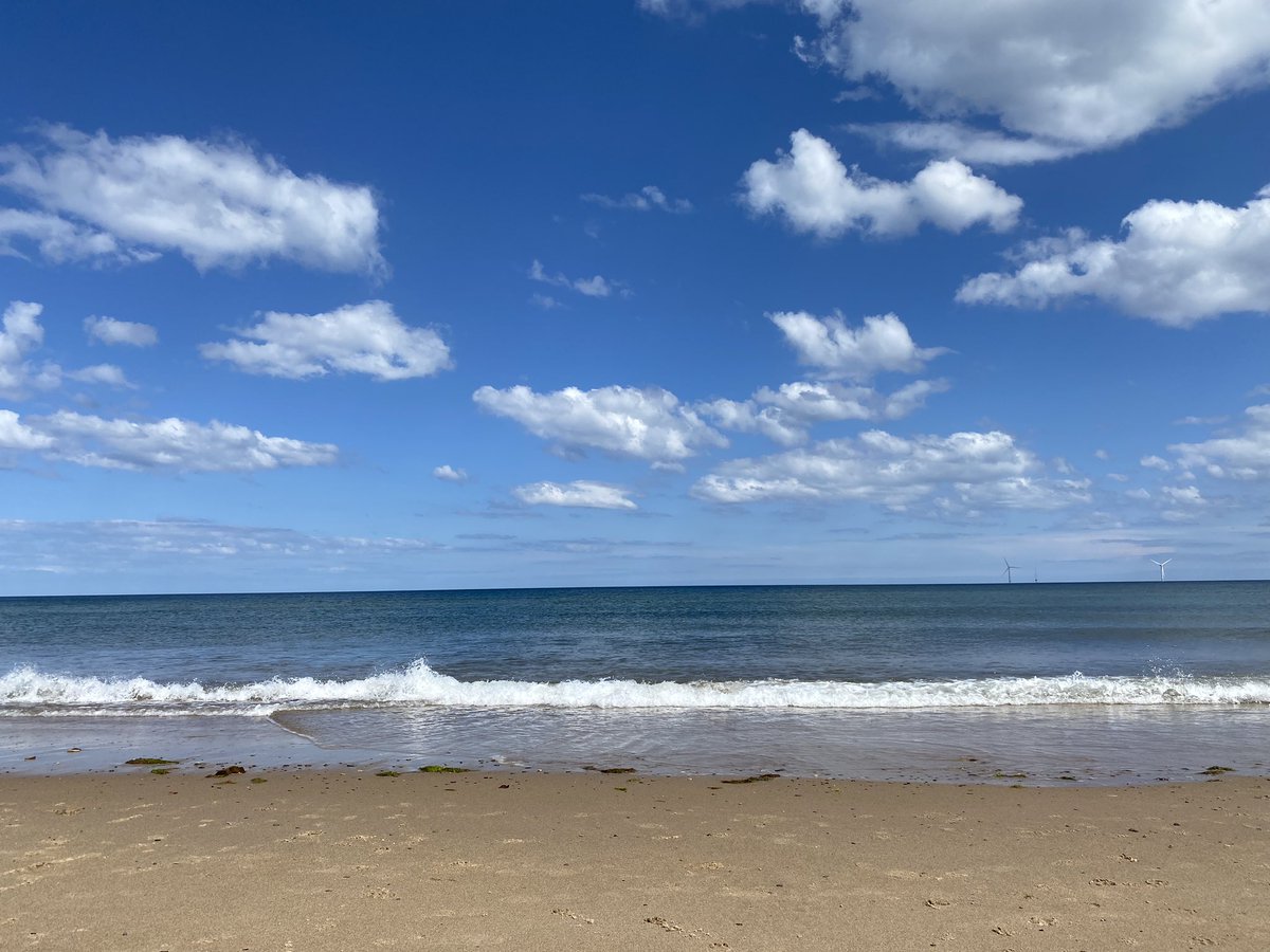 OhHushBob's tweet photo. Life’s a beach https://t.co/f7vWO2nG5a