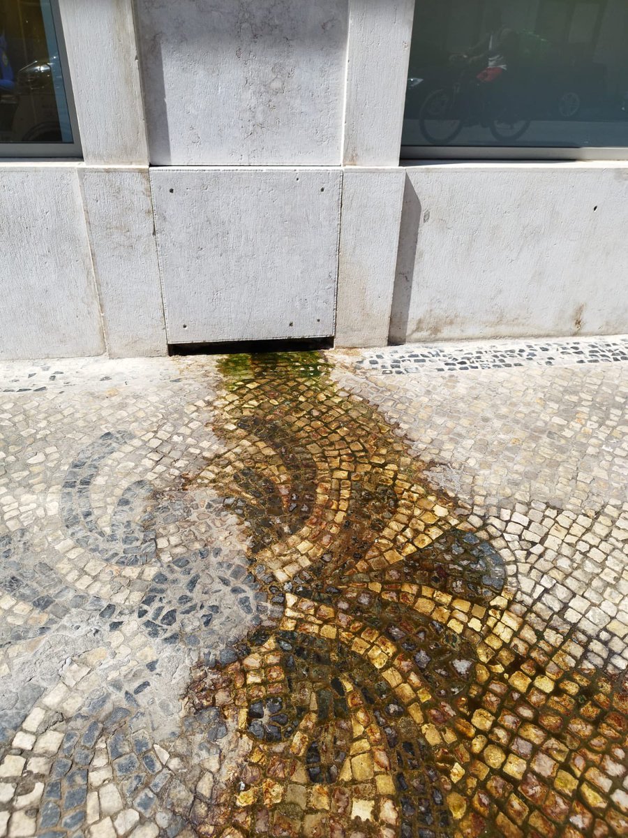 ricardosmoreira's tweet photo. O MUDE abriu há 10 dias, mas desde que abriu que está a sair qualquer coisa para o passeio que não tem nada bom ar.

Alguém sabe o que pode ser? https://t.co/YKR8GlDuq5