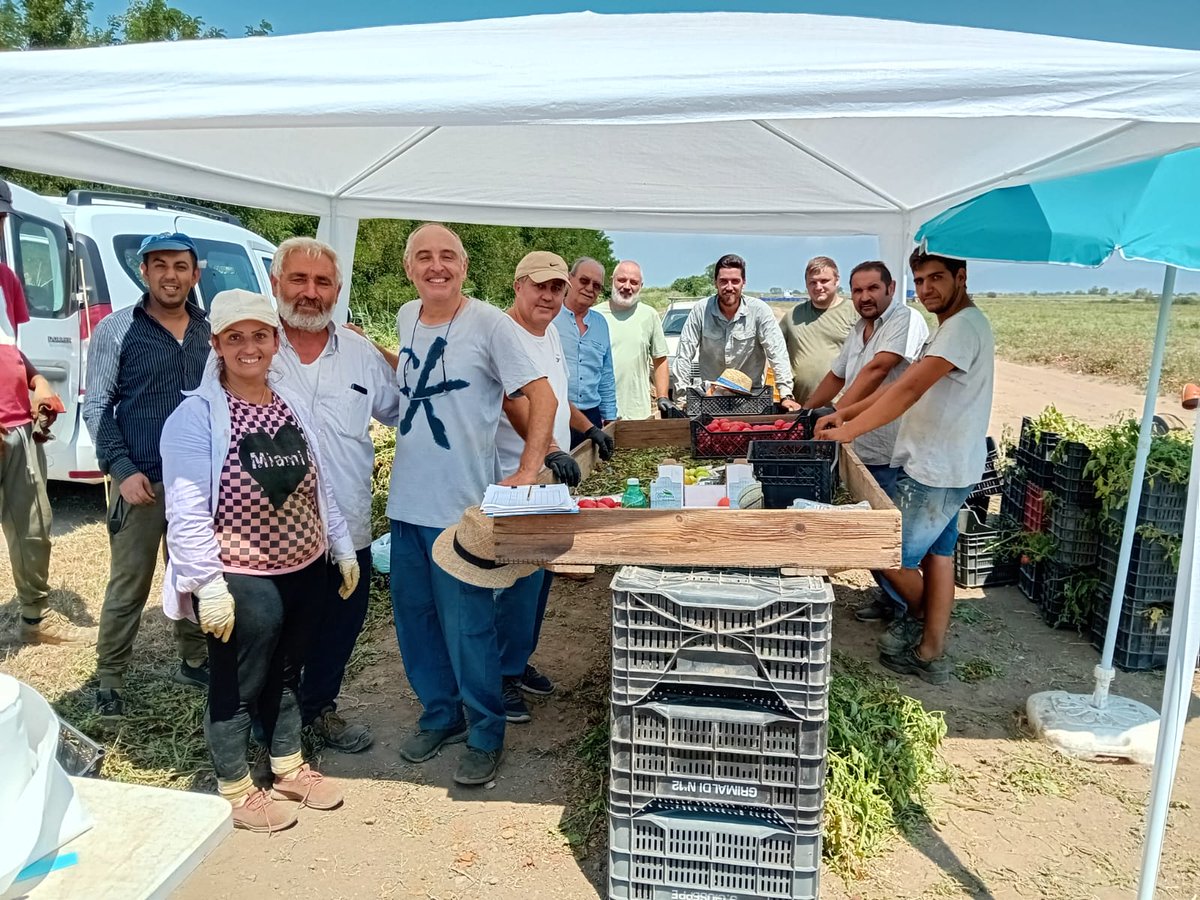 Il 6 luglio 2024 🍅 Progetto Pomodoro da industria.
🔬Linea di ricerca 2: Raccolta presso l'azienda agricola Piccolo Pasquale a Mondragone in provincia di Caserta (O.P. APOPA)