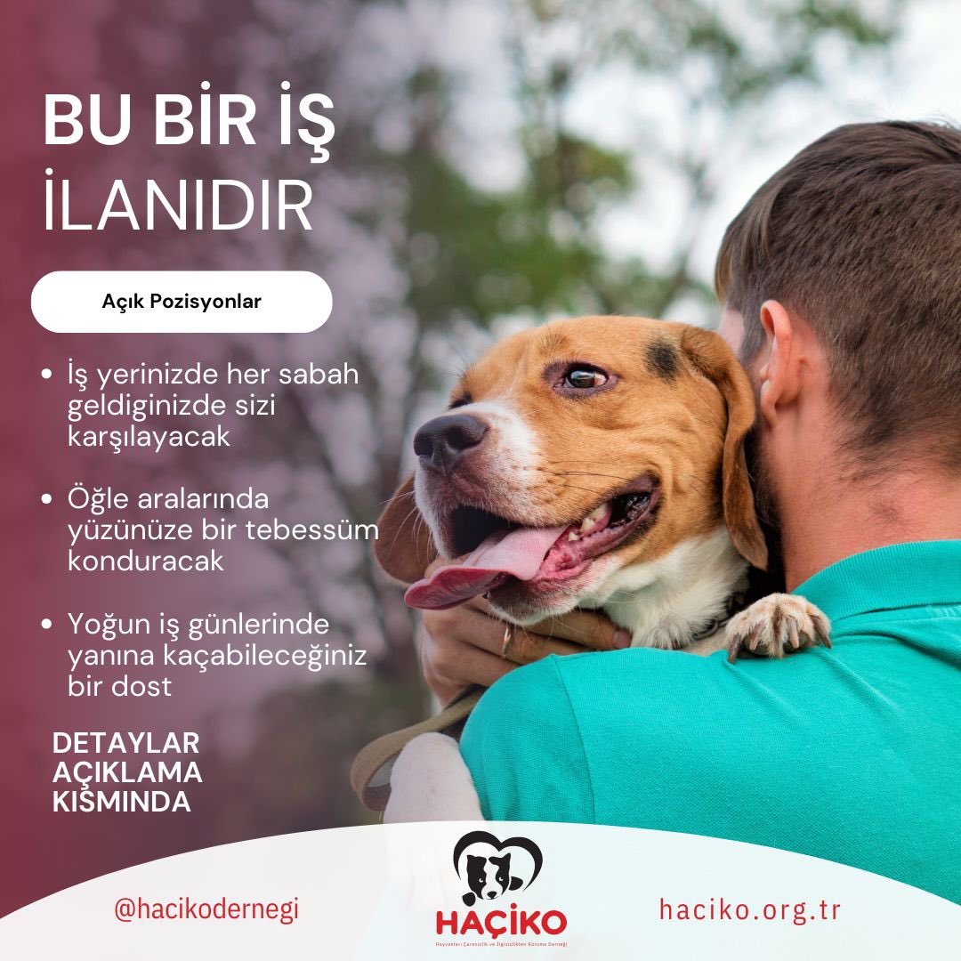 Bu bir iş ilanıdır!!

İş yerinize sokaktan bir dostumuzu sahiplenmek ister misiniz? Gelin birlikte bu projeye bir adım atalım bize DM atın!