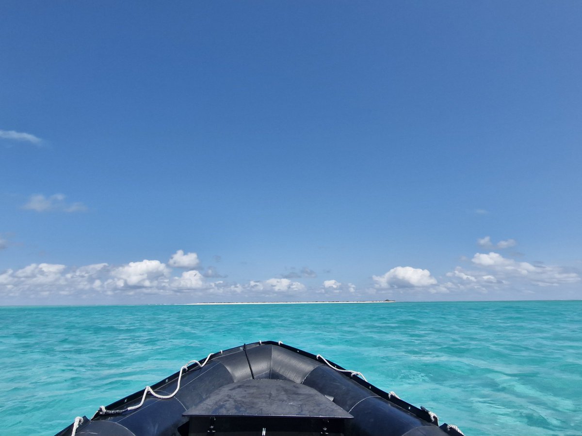 My office view this morning. Ashmore Reef,  full of seabirds. Sooty and Bridled Terns everywhere plus loads of Noddies, Frigatebirds, Brown and Red-footed Booby.  An amazing place.