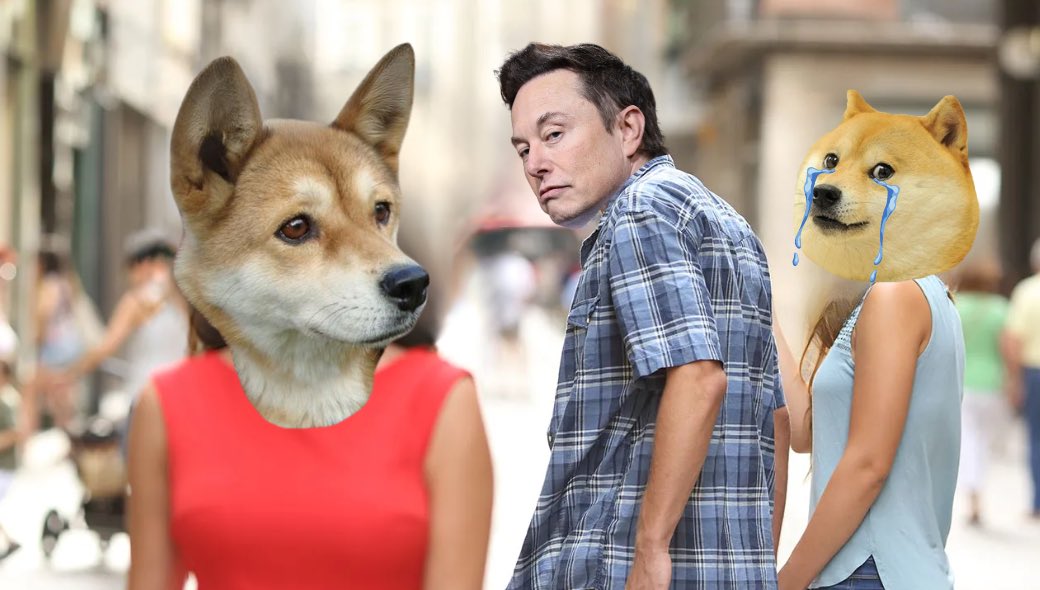 DogeFatherColon's tweet photo. Papa $COLON is everyone's favorite dog. https://t.co/EfjL7yOvCk