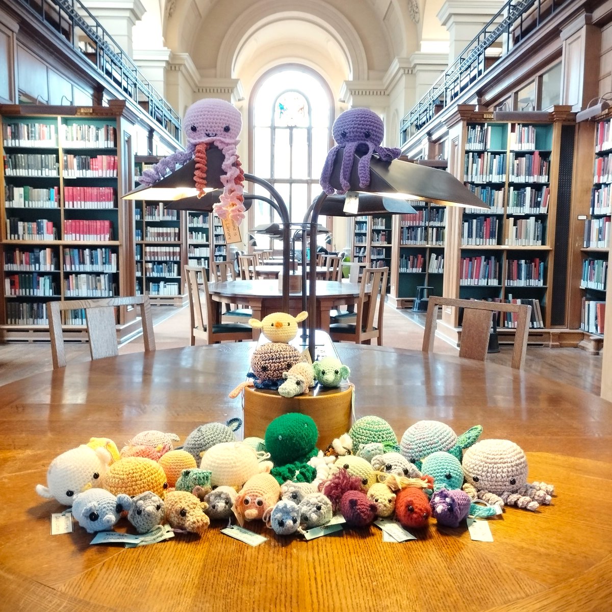 caiuslib's tweet photo. @goh_zhanghe @chemlibcam @theUL @MooreLib @ChemCambridge We do! They're very popular (although probably not as popular as an actual cat would be). 

(we stole the idea from @CamTechLibs) https://t.co/EClSG64goA