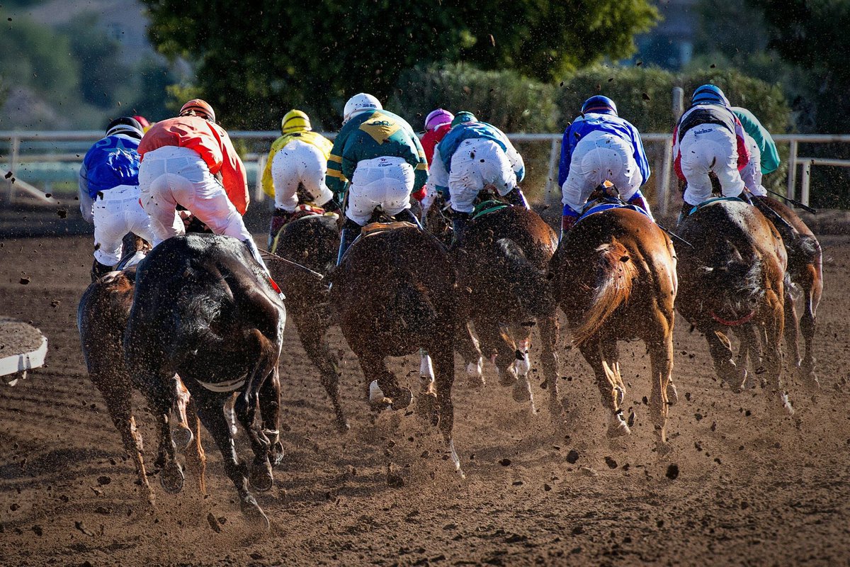 What does #EquineInsurance cover?🏇 One of our dedicated team of #equine #insurance experts will work with you to assess the unique set of risks in your business, to ensure you are adequately covered in every eventuality: hazeltonmountford.co.uk/insurances/equ… #HazeltonMountford