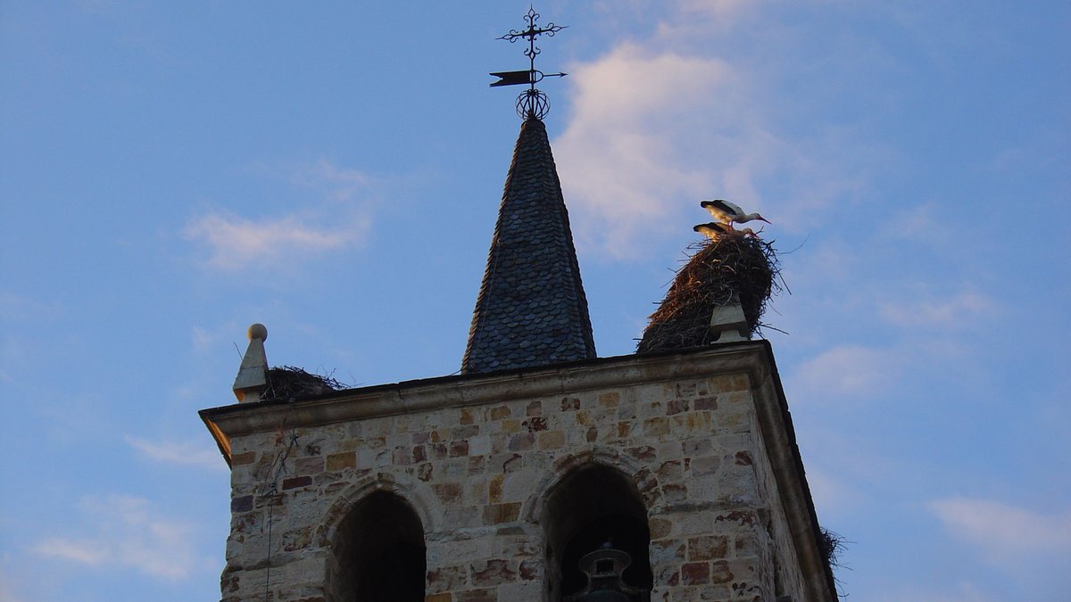 ¡ATENCIÓN! PREGUNTA...
¿Sabrías identificar estas cuatro fotos de templos del románico de Zamora?
Y lo que es más importante, ¿sabrías decirnos en cuál de ellos se celebra #musicascercadas?

Respuesta:
1.-
2.-
3.-
4-.

Músicas Cercadas 👉 
Solución en musicascercadas.com