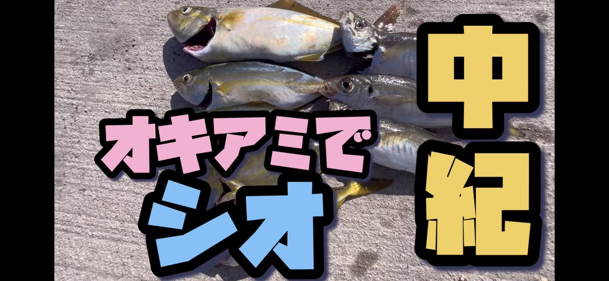 たかたか (@Q22eBNNKE97F1WQ) / Posts / X