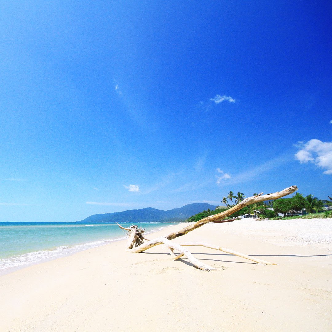 khanomsichon's tweet photo. Take in the stunning beauty of Khanom Beach with this captivating shot of pristine white sands stretching into the crystal-clear blue sea.

#HaveYouBeen #KhanomSichon #DiscoverKhanomSichon #ExploreKhanomSichon #VisitKhanomSichon https://t.co/rmlxpIfWs8