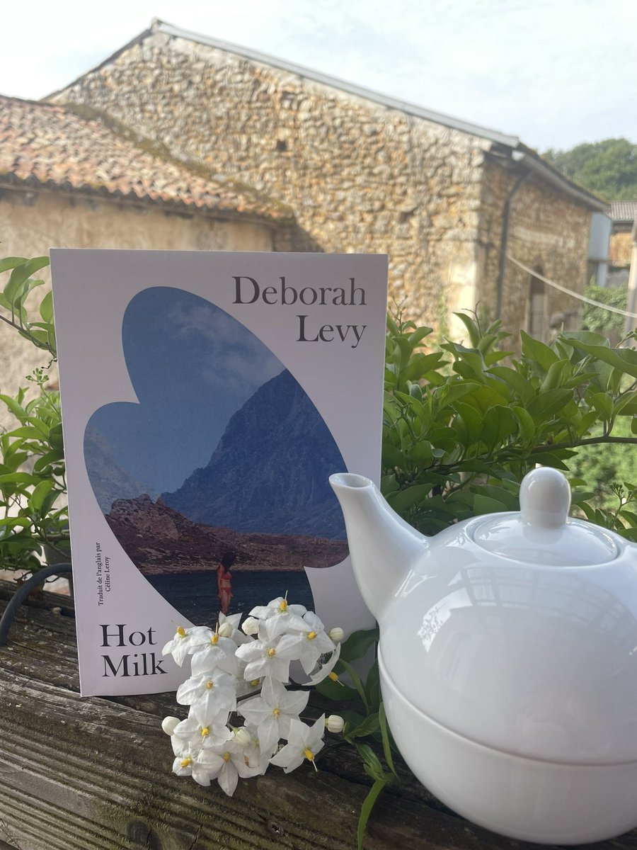 Delphine_E_Roux's tweet image. Les romans de la quinzaine #ÉtéLecture