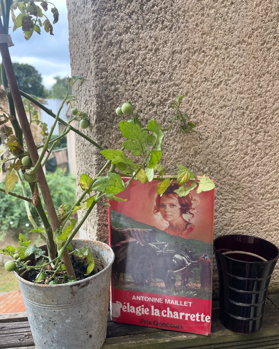 Delphine_E_Roux's tweet image. Les romans de la quinzaine #ÉtéLecture