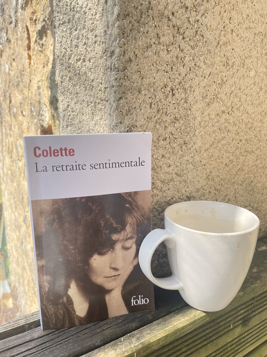 Delphine_E_Roux's tweet image. Les romans de la quinzaine #ÉtéLecture