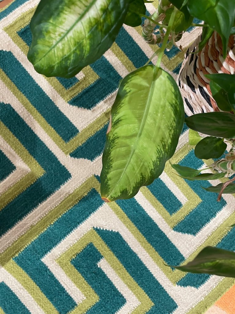 One of my new Meandros runners for <a href="/FLOOR_STORY/">Simon Goff</a> floorstory.co.uk/designers/adam…