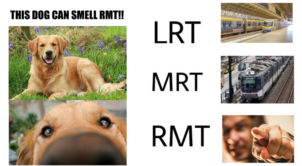 Katusok_RMT2024's tweet image. Congratulations RMTs! 
RMT! RMT! RMT!

High National Passing Rate 💯