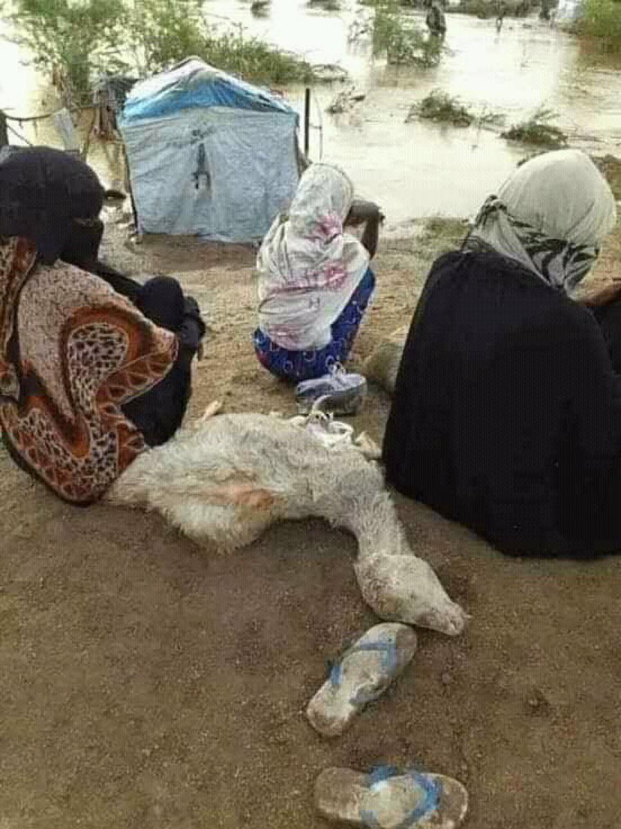 أهل تهامه

الكويت بجانبكم أقرب مما تتوقعون

إنتظرونا

وأعانكم الله على مصابكم
🇰🇼🇾🇪🇰🇼🇾🇪🇰🇼🇾🇪

#الكويت_بجانبكم 
 #تهامه_تغرق
#تهامة_تستغيث