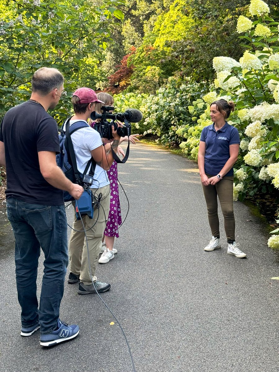 Thank you to <a href="/HollyJGreen/">Holly Green - Weather Presenter</a> &amp; team for popping into <a href="/exburygardens/">Exbury Gardens & Steam Railway</a> yesterday to film the awesome hydrangeas for ITV Meridian weather forecast