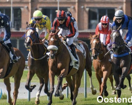 lefebvrefabien1's tweet photo. 🌟 Monday🌟 at @OostendeKoerse 🇧🇪:
- 🥉 #SkipChop 🐎
Photo: Guy Tratsaert
Agents:
Lisa Pauwels🇧🇪
@Benjhub 🇫🇷 https://t.co/sui9xXaDTS