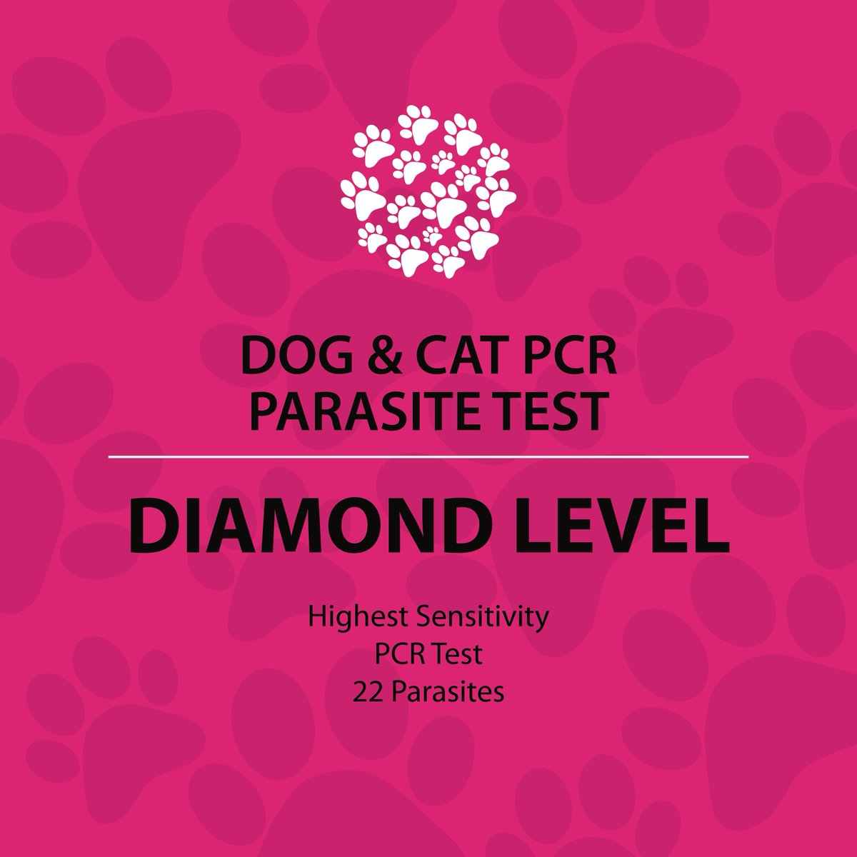 New Veterinary PCR 22 Parasite Faecal test for dogs and cats. 
Highest sensitivity and lowest cost in the UK!
37% Launch discount!
loom.ly/QGfBlL8
#dogsofinstagram #instacat #catsofinstagram #dogsofinstagram #dogsandcats #veterinary #parasitetest #testmydog #testmycat