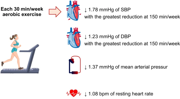 Aerobic exercise dose-dependently improves hypertension.

The optimal dose is 150 min/week, with similar improvements relative to many medications.