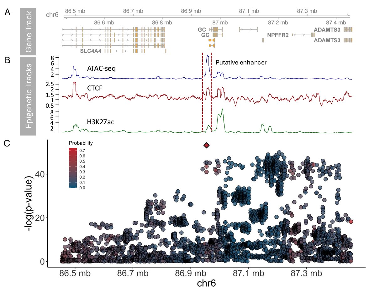James Prendergast tweet media