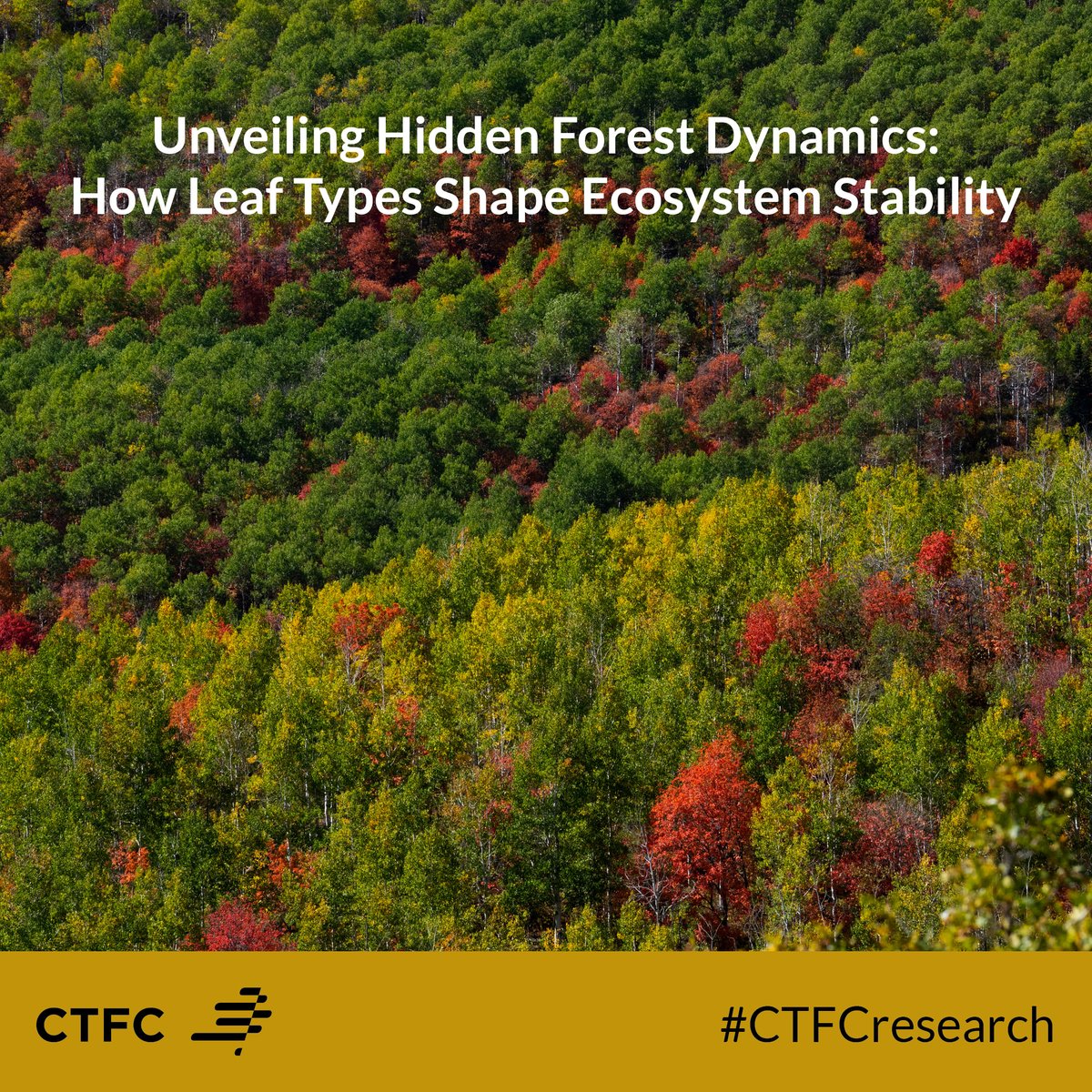 CTFC (@ctforestal) on Twitter photo #CTFCresearch <a href="/NatureComms/">Nature Communications</a>
🌳 Researchers have discovered evidence of alternative stable states in forest leaf types, showing how evergreen and deciduous forests can coexist under similar environmental conditions.
#Ecology #ClimateChange #ForestryResearch
Check out the 🧵👇 #CTFCresearch <a href="/NatureComms/">Nature Communications</a>
🌳 Researchers have discovered evidence of alternative stable states in forest leaf types, showing how evergreen and deciduous forests can coexist under similar environmental conditions.
#Ecology #ClimateChange #ForestryResearch
Check out the 🧵👇