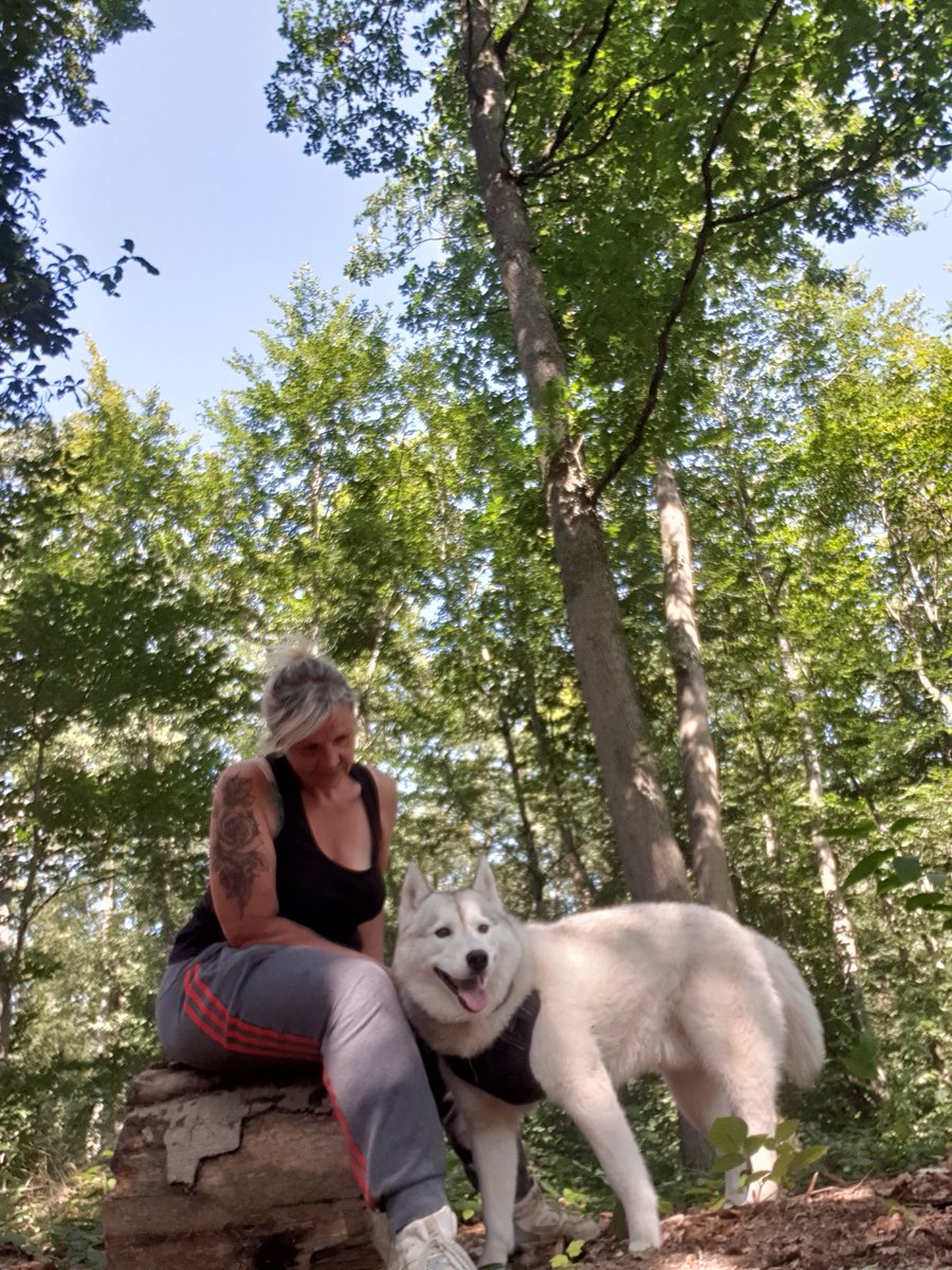 Nous vivons dans un monde de brutes,  je préfère la compagnie de la nature et du monde animal.....