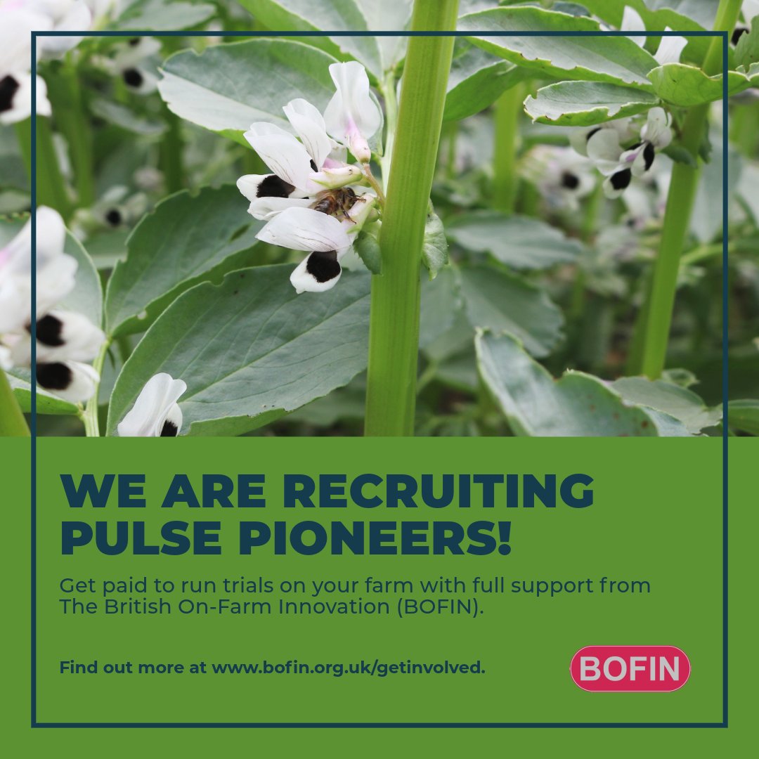 The NCS Project tweet media