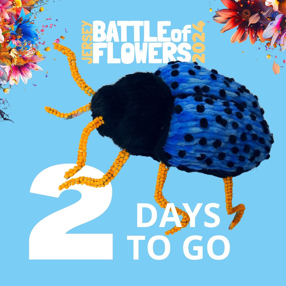 Jersey Battle of Flowers tweet media